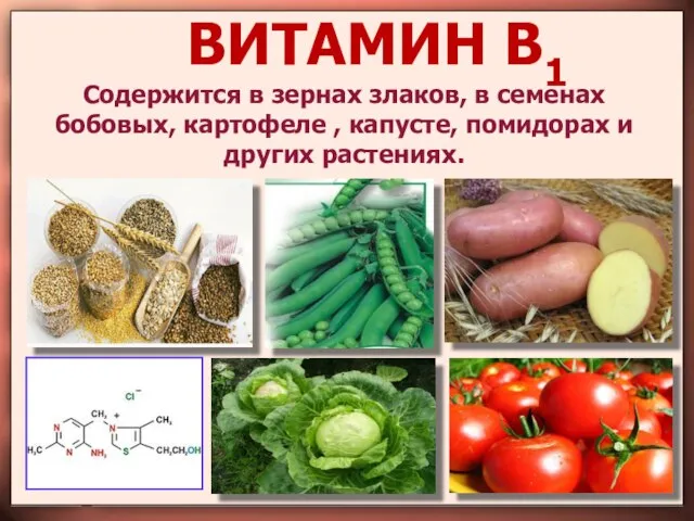 ВИТАМИН В1 Содержится в зернах злаков, в семенах бобовых, картофеле , капусте, помидорах и других растениях.