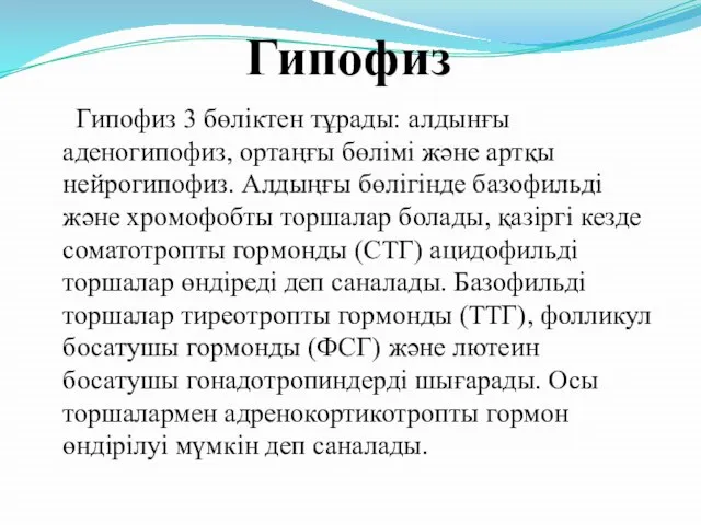 Гипофиз Гипофиз 3 бөліктен тұрады: алдынғы аденогипофиз, ортаңғы бөлімі және артқы