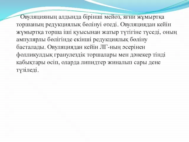 Овуляцияның алдында бірінші мейоз, яғни жұмыртқа торшаның редукциялық бөлінуі өтеді. Овуляциядан