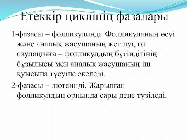 Етеккір циклінің фазалары 1-фазасы – фолликулинді. Фолликуланың өсуі және аналық жасушаның