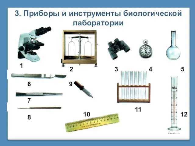 3. Приборы и инструменты биологической лаборатории 1 2 3 4 5