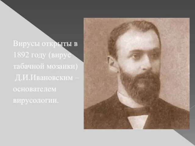 Вирусы открыты в 1892 году (вирус табачной мозаики) Д.И.Ивановским – основателем вирусологии.