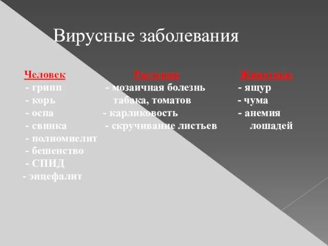 Вирусные заболевания Человек Растения Животные - грипп - мозаичная болезнь -