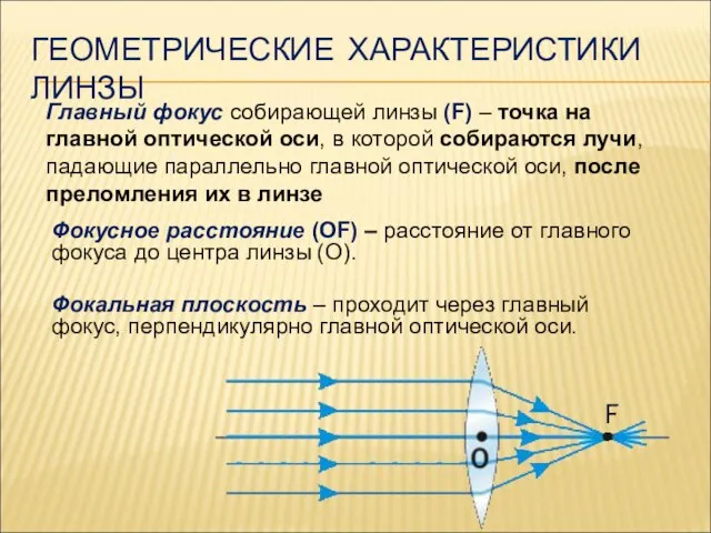 ГЕОМЕТРИЧЕСКИЕ ХАРАКТЕРИСТИКИ ЛИНЗЫ Главный фокус собирающей линзы (F) – точка на