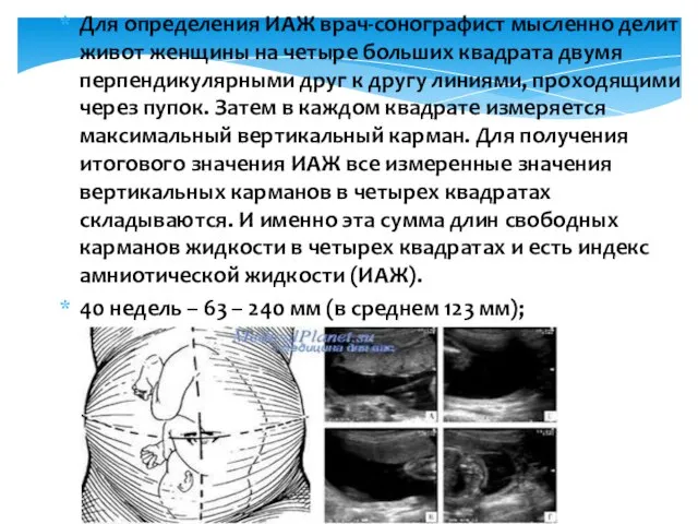 Для определения ИАЖ врач-сонографист мысленно делит живот женщины на четыре больших