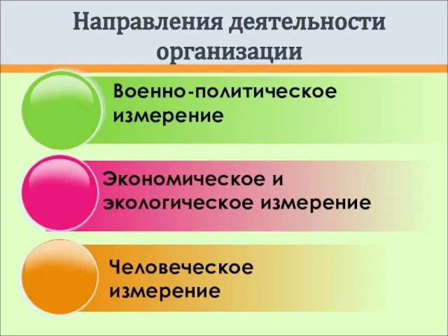 Направления деятельности организации Военно-политическое измерение