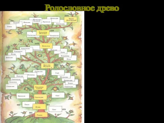 Родословное древо У русских людей всегда было принято помнить своих дедов-прадедов