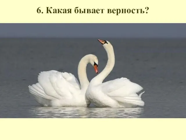 6. Какая бывает верность?