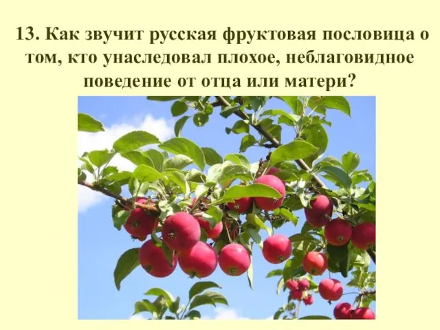 13. Как звучит русская фруктовая пословица о том, кто унаследовал плохое,