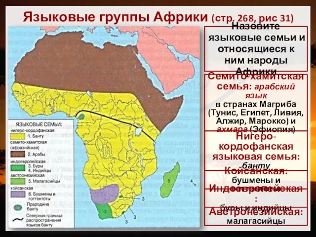 Языковые группы Африки (стр. 268, рис 31) Назовите языковые семьи и