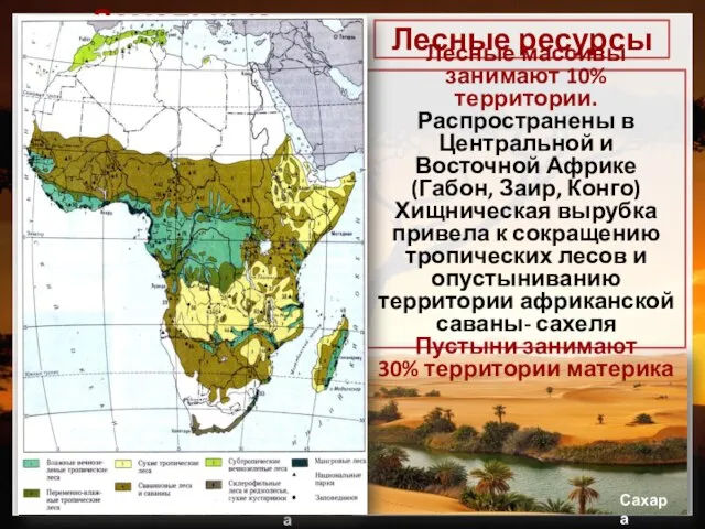 Земельные ресурсы Показатель обеспеченности землей на душу населения выше, чем в