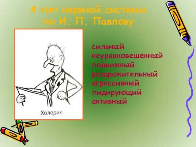 4 тип нервной системы по И. П. Павлову сильный неуравновешенный подвижный раздражительный агрессивный лидирующий активный