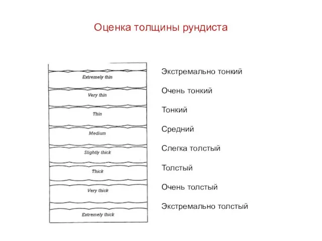 Оценка толщины рундиста Экстремально тонкий Очень тонкий Тонкий Средний Слегка толстый Толстый Очень толстый Экстремально толстый