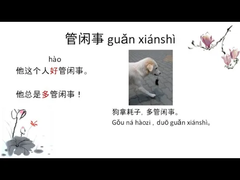 管闲事 guǎn xiánshì hào 他这个人好管闲事。 他总是多管闲事！ 狗拿耗子，多管闲事。 Gǒu ná hàozi ，duō guǎn xiánshì。