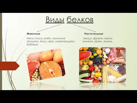 Виды белков Животные Растительные Мясо, птица, рыба, молочные овощи, фрукты, крупы,