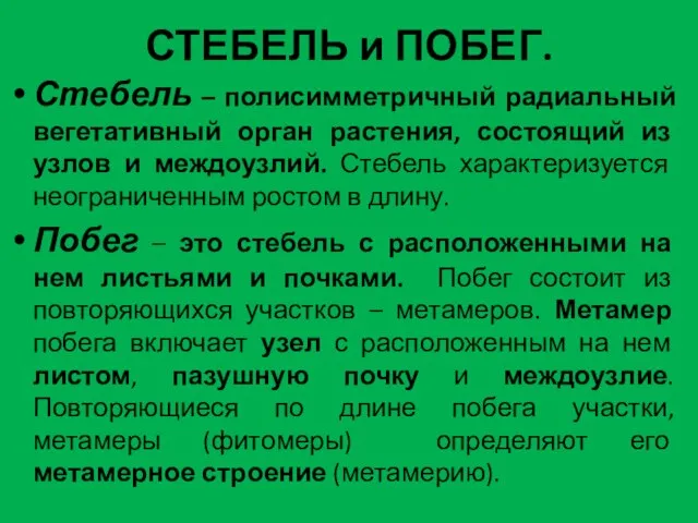 СТЕБЕЛЬ и ПОБЕГ. Стебель – полисимметричный радиальный вегетативный орган растения, состоящий