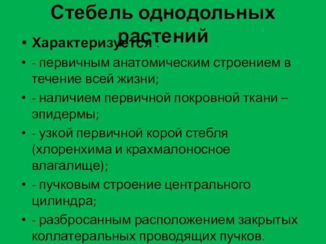 Стебель однодольных растений Характеризуется : - первичным анатомическим строением в течение