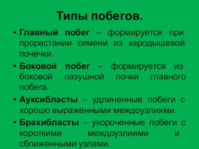 Типы побегов. Главный побег – формируется при прорастании семени из зародышевой