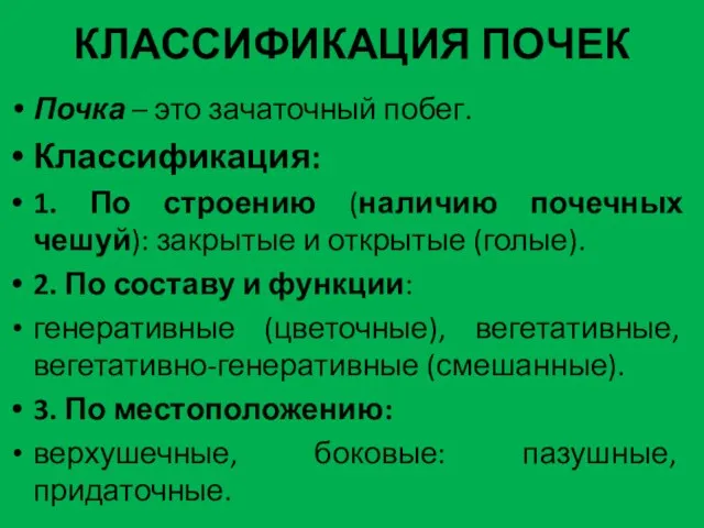 КЛАССИФИКАЦИЯ ПОЧЕК Почка – это зачаточный побег. Классификация: 1. По строению