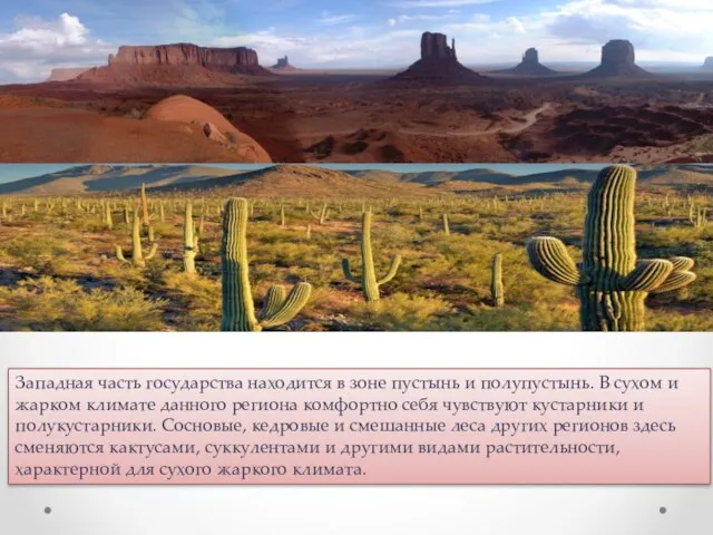 Западная часть государства находится в зоне пустынь и полупустынь. В сухом