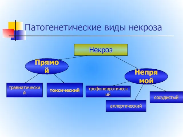 Патогенетические виды некроза Некроз Прямой Непрямой травматический токсический трофоневротический аллергический сосудистый