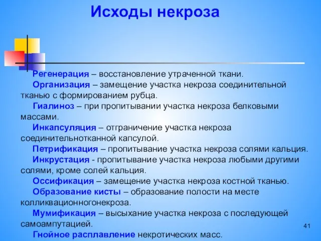 Регенерация – восстановление утраченной ткани. Организация – замещение участка некроза соединительной