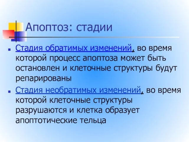 Апоптоз: стадии Стадия обратимых изменений, во время которой процесс апоптоза может