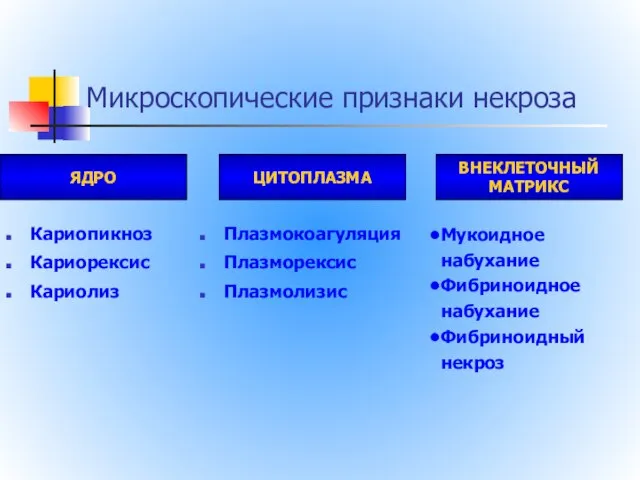 Микроскопические признаки некроза Кариопикноз Кариорексис Кариолиз Плазмокоагуляция Плазморексис Плазмолизис ЯДРО ЦИТОПЛАЗМА