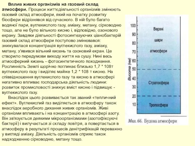 Вплив живих організмів на газовий склад атмосфери. Процеси життєдіяльності організмів змінюють