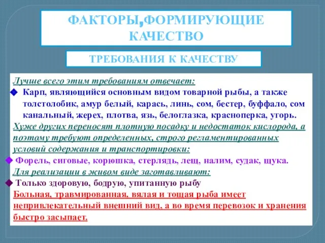 ФАКТОРЫ,ФОРМИРУЮЩИЕ КАЧЕСТВО Лучше всего этим требованиям отвечает: Карп, являющийся основным видом