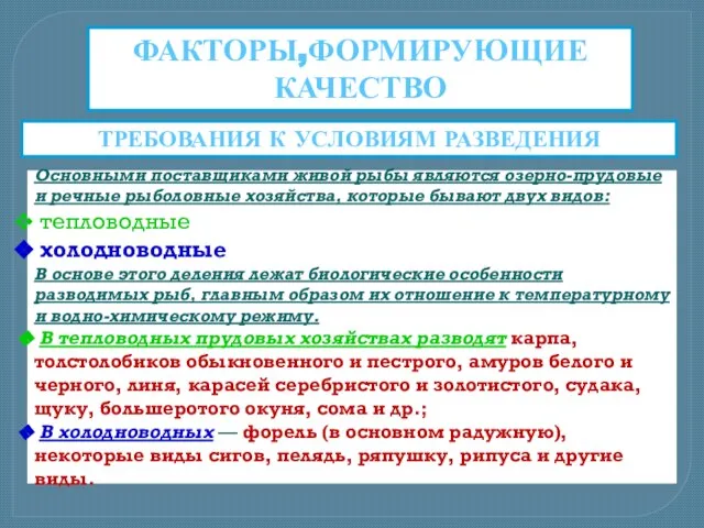 ФАКТОРЫ,ФОРМИРУЮЩИЕ КАЧЕСТВО Основными поставщиками живой рыбы являются озерно-прудовые и речные рыболовные