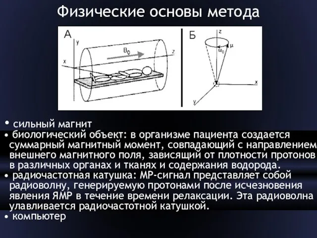 Физические основы метода сильный магнит биологический объект: в организме пациента создается