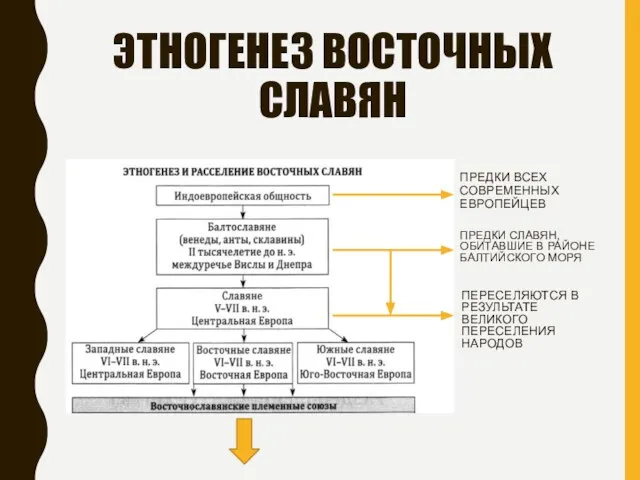 ЭТНОГЕНЕЗ ВОСТОЧНЫХ СЛАВЯН ПРЕДКИ ВСЕХ СОВРЕМЕННЫХ ЕВРОПЕЙЦЕВ ПРЕДКИ СЛАВЯН, ОБИТАВШИЕ В