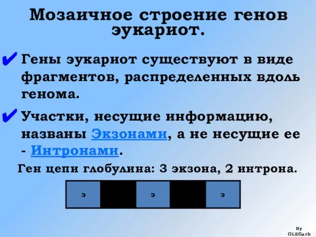 Мозаичное строение генов эукариот. Гены эукариот существуют в виде фрагментов, распределенных