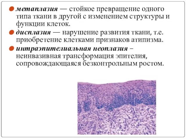 метаплазия — стойкое превращение одного типа ткани в другой с изменением