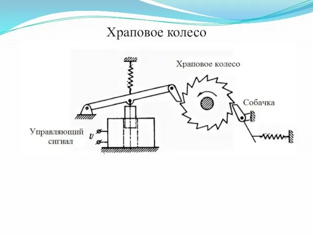 Храповое колесо