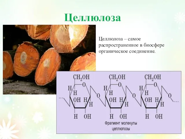 Целлюлоза Целлюлоза – самое распространенное в биосфере органическое соединение.