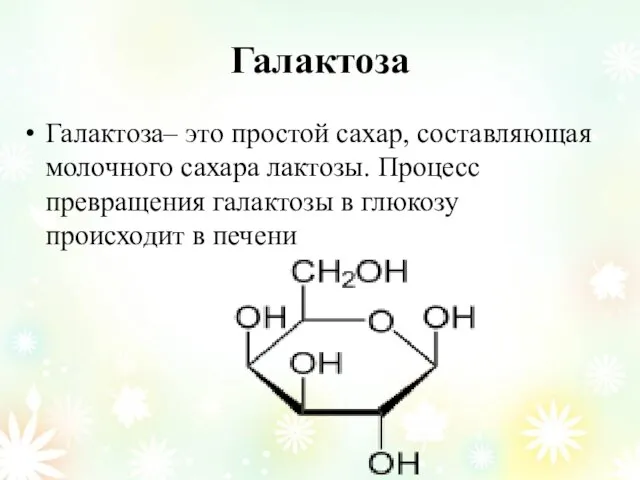 Галактоза Галактоза– это простой сахар, составляющая молочного сахара лактозы. Процесс превращения