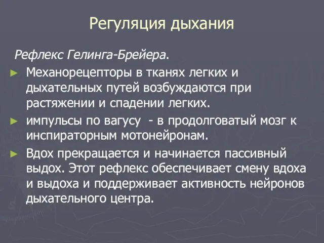 Регуляция дыхания Рефлекс Гелинга-Брейера. Механорецепторы в тканях легких и дыхательных путей