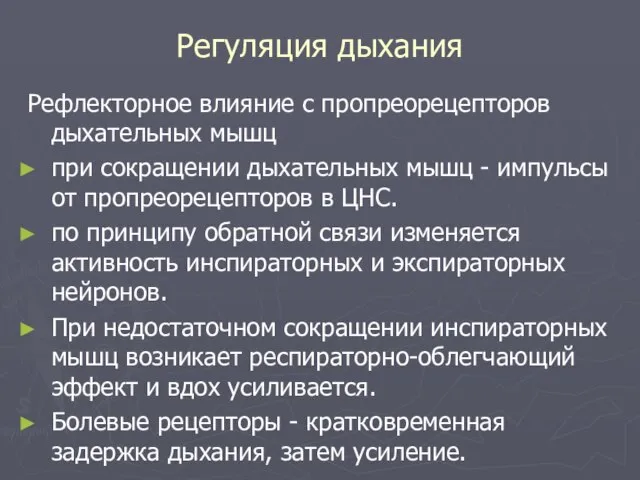 Регуляция дыхания Рефлекторное влияние с пропреорецепторов дыхательных мышц при сокращении дыхательных