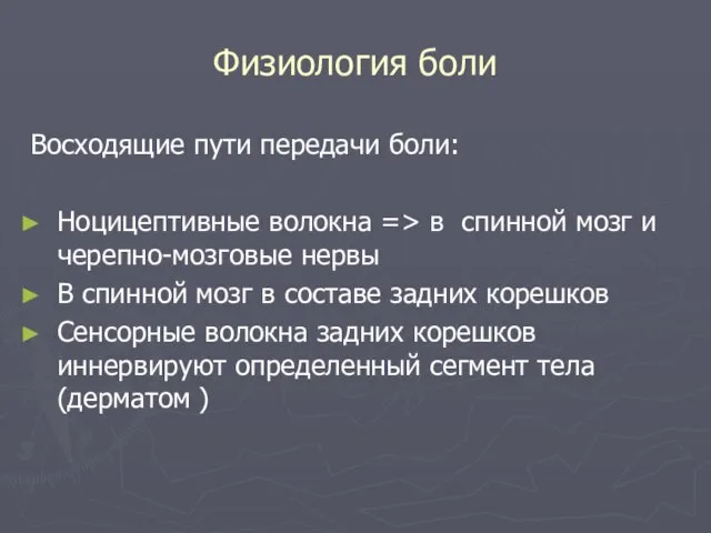 Физиология боли Восходящие пути передачи боли: Ноцицептивные волокна => в спинной