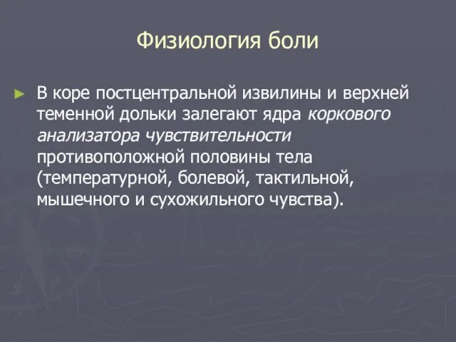 Физиология боли В коре постцентральной извилины и верхней теменной дольки залегают