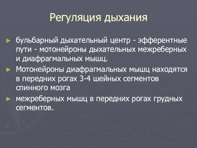 Регуляция дыхания бульбарный дыхательный центр - эфферентные пути - мотонейроны дыхательных