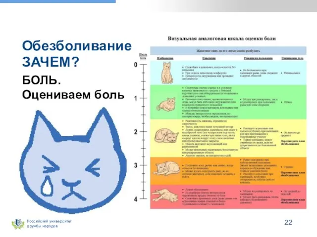 Обезболивание ЗАЧЕМ? БОЛЬ. Оцениваем боль