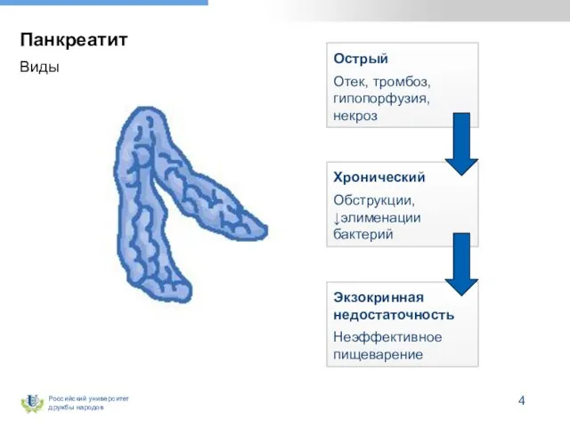 Панкреатит Виды Острый Отек, тромбоз, гипопорфузия, некроз Хронический Обструкции, ↓элименации бактерий Экзокринная недостаточность Неэффективное пищеварение