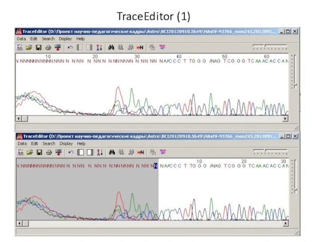 TraceEditor (1)