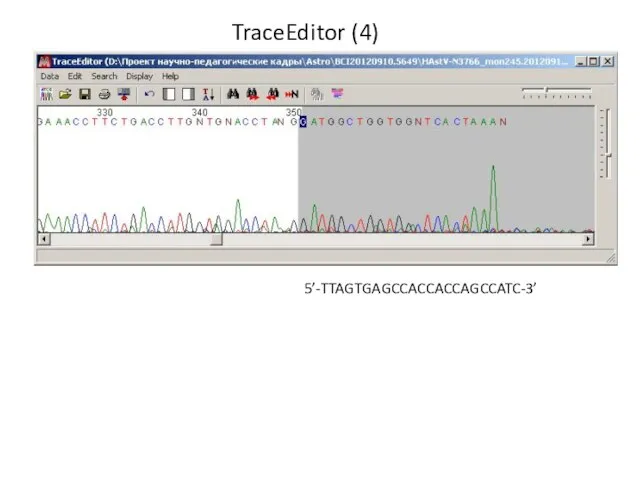 TraceEditor (4) 5’-TTAGTGAGCCACCACCAGCCATC-3’