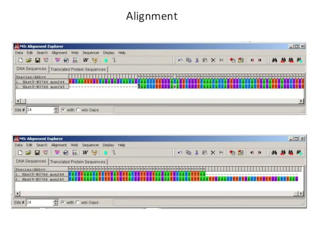 Alignment