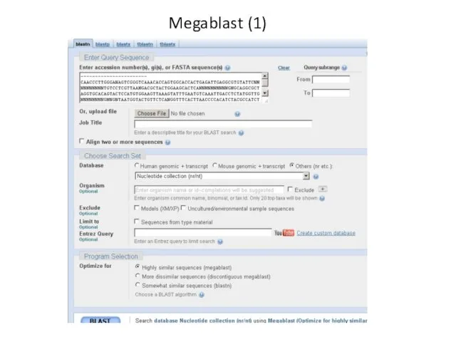 Megablast (1)