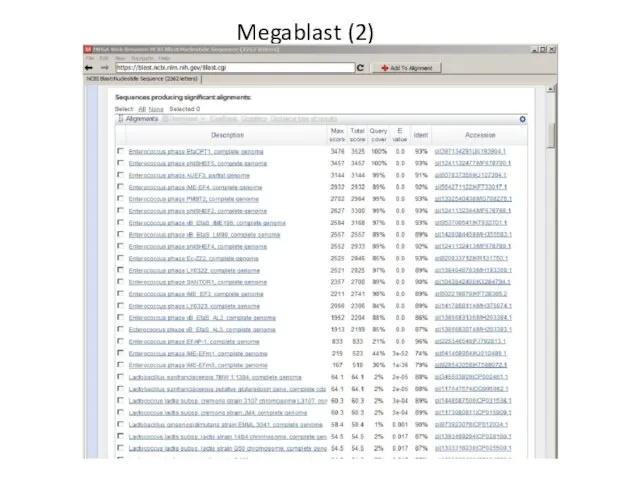 Megablast (2)